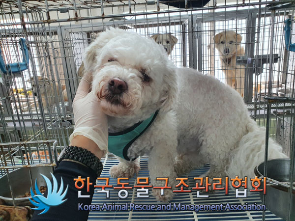 한국동물구조관리협회_411312202300356